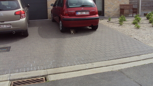 w ZONNEBEKE 013