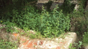 w ZONNEBEKE 014
