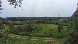 w ZEEBRUGGE 002