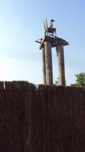 w MIDDELKERKE 008