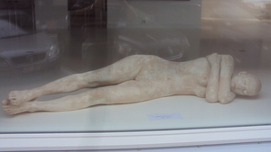 wKNOKKE 004