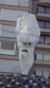 wKNOKKE 007