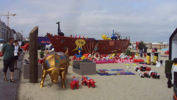 wKNOKKE 008