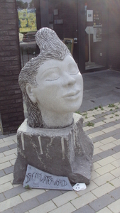 w DEHAAN 010