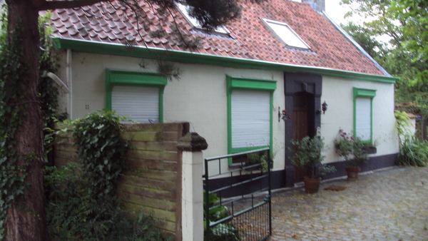 wMOERE 006