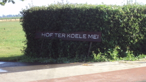 wMOERE 008