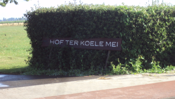 wMOERE 008