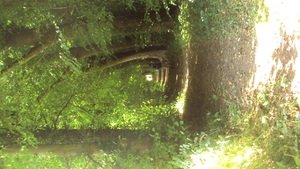 wMOERE 015