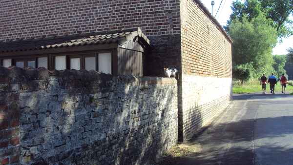 wMOERE 018