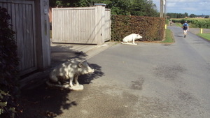w JONKERSHOVE 010