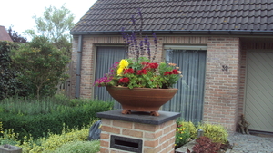 w ICHTEGEM 008