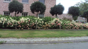 w ICHTEGEM 014