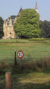 w WYNDAELE 002