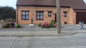 w WYNDAELE 003