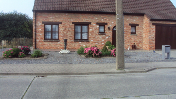 w WYNDAELE 003