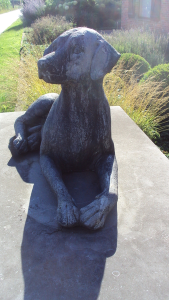 w GELUVELD 004