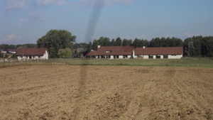 w GELUVELD 009