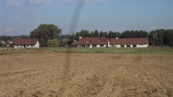 w GELUVELD 009