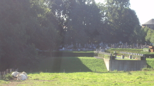 w GELUVELD 010