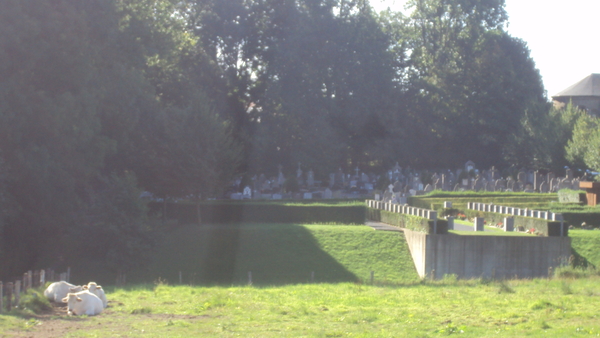 w GELUVELD 010