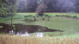 w DIKSMUIDE 004