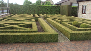 w DIKSMUIDE 010