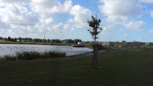 w OOSTENDE 006