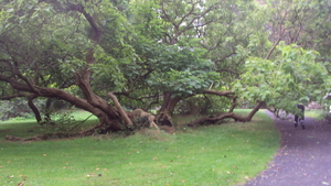 w OOSTKAMP 006