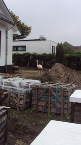 w OOSTKAMP 021