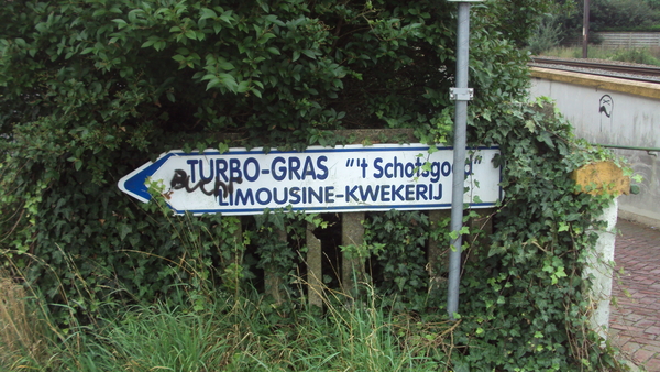 w OOSTKAMP 022