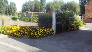 w ARDOOIE 020