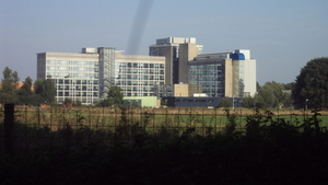 w OEDELEM 009