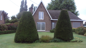 w LICHTERVELDE 007