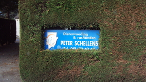 w LICHTERVELDE 008