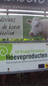 w LICHTERVELDE 013