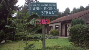 w TERNAT 003