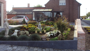 w LEDEGEM 008