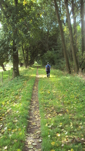 w LEDEGEM 009