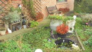 w BOEZINGE 002