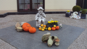 w STADEN 003