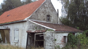 w STADEN 006