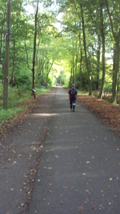 w TORHOUT 008