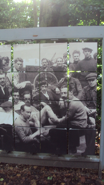 w TORHOUT 009