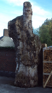 w ARDOOIE 006