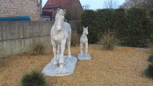 MOERE 002