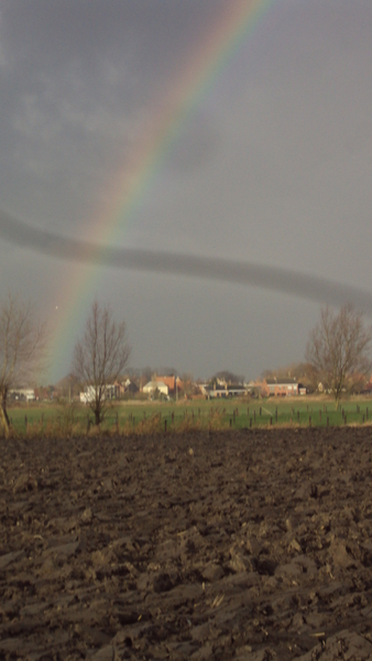 MOERE 006