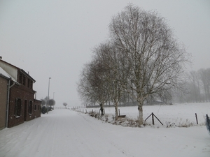 2013-01 20 Gijzegem 009