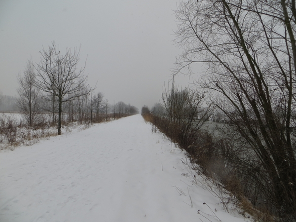 2013-01 20 Gijzegem 013