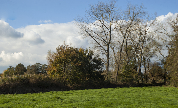 natuur002