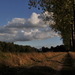 landschap 068